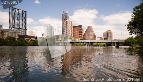 Image of Dogs Swimming playing Colorado River Downtown Austin Texas