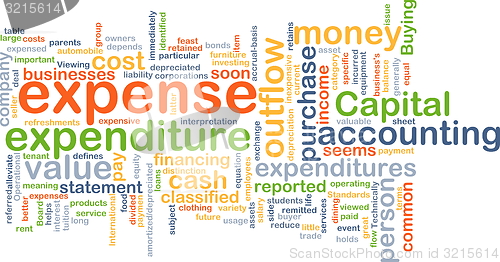 Image of Expense wordcloud concept illustration