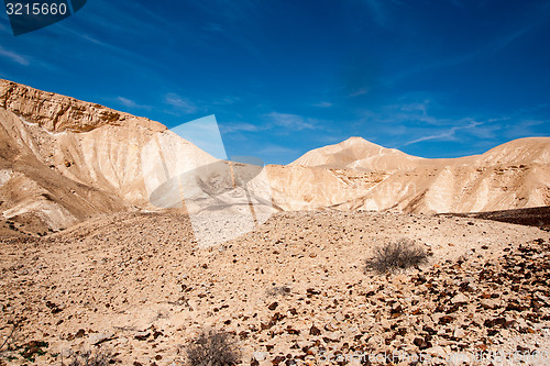 Image of Travel in Negev desert, Israel