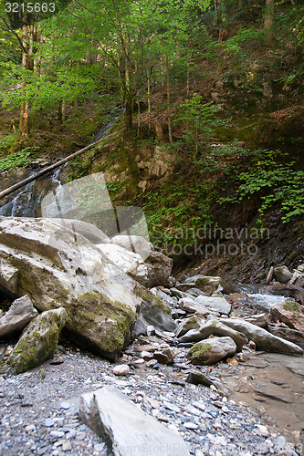 Image of Waterfall and river in forest