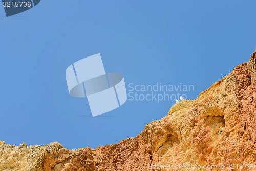 Image of Two seagulls sitting on cliff top