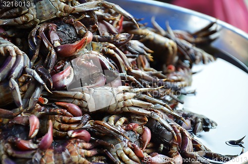 Image of Vendor prepares seafood on a stall in Chinatown