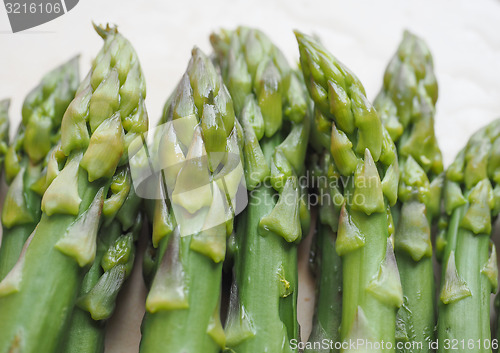 Image of Asparagus vegetable