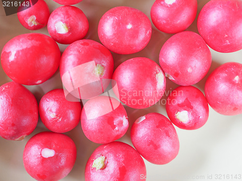 Image of Radish vegetable 