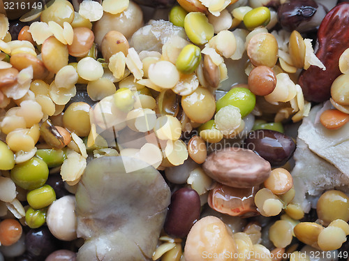 Image of Beans vegetable salad