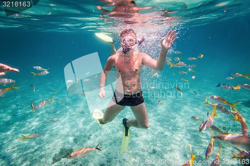 Image of Snorkeler