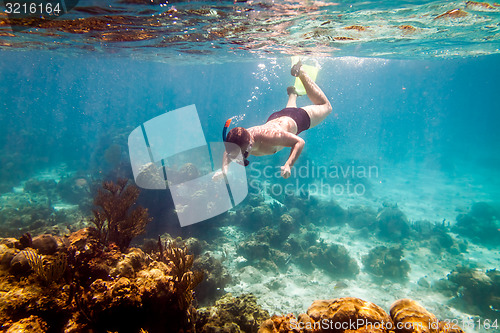 Image of Snorkeler