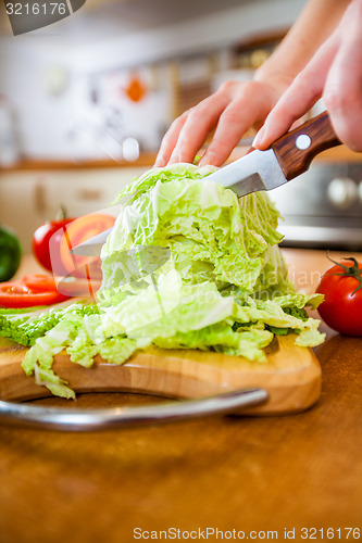 Image of Woman\'s hands cutting vegetables