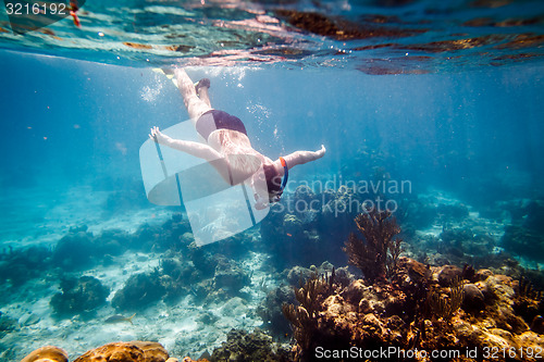 Image of Snorkeler