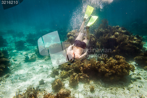 Image of Snorkeler