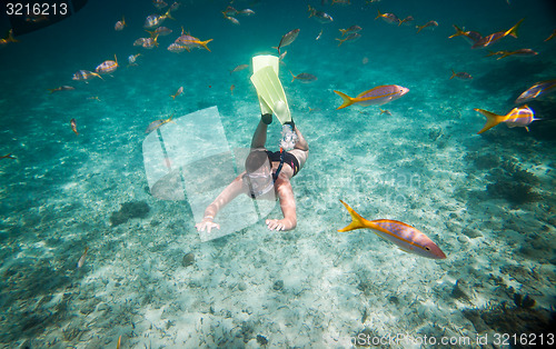 Image of Snorkeler