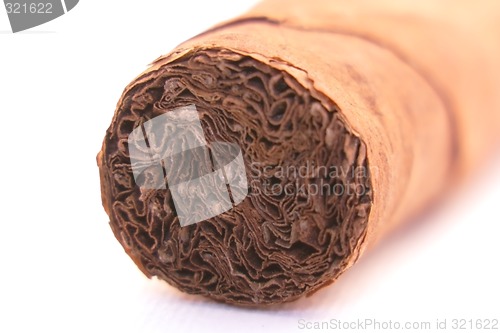 Image of Cigar close-up