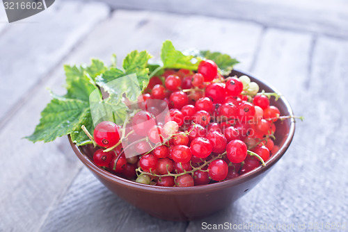 Image of red currant