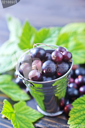 Image of black currant