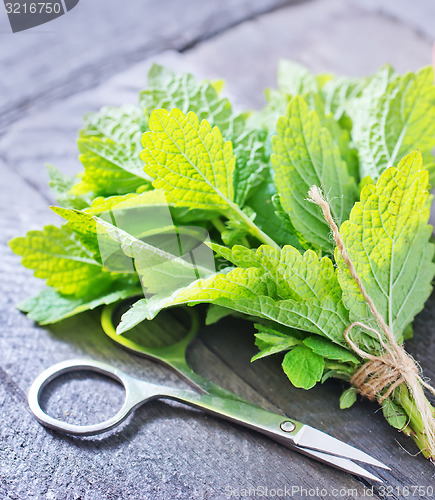 Image of aroma herbal