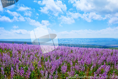 Image of nature in Crimea