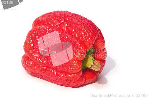 Image of withered pepper