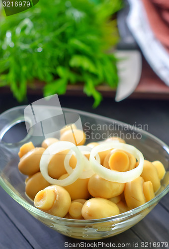 Image of mushrooms
