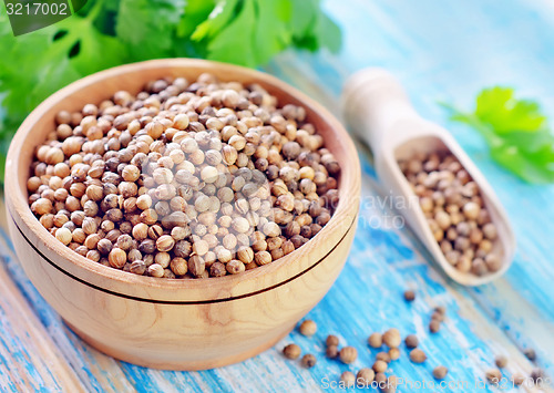 Image of coriander