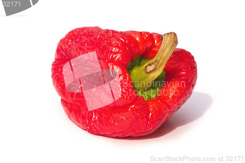 Image of withering pepper