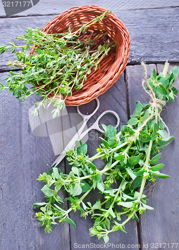 Image of oregano