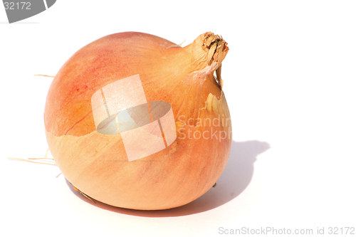 Image of spanish onion