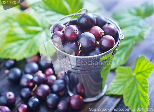 Image of black currant