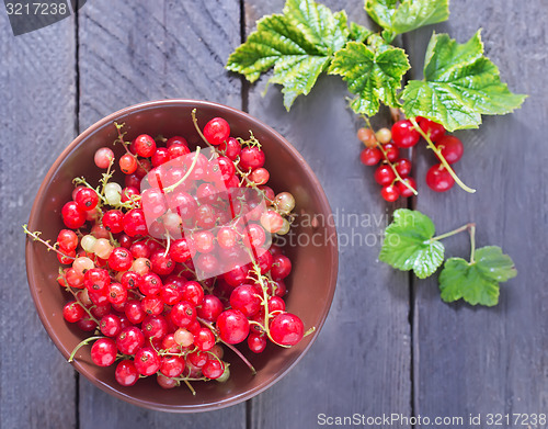 Image of red currant