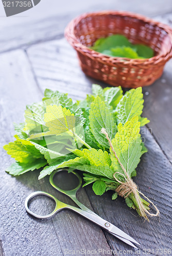 Image of aroma herbal
