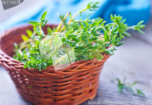 Image of thyme