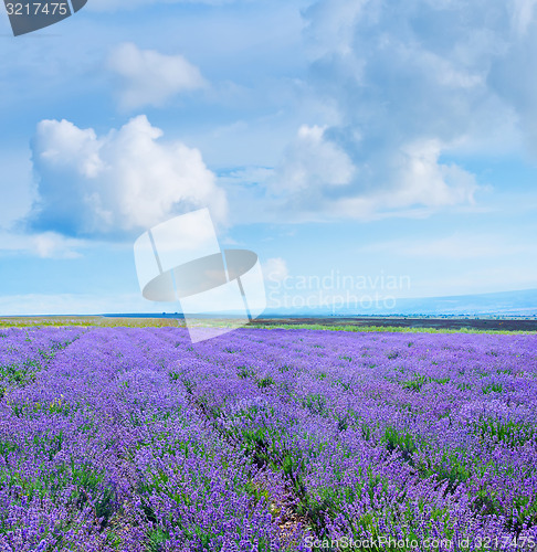 Image of nature in Crimea