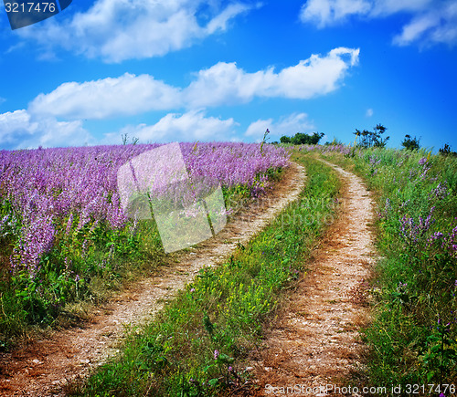 Image of nature in Crimea