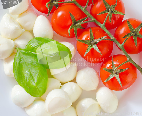 Image of tomato and cheese