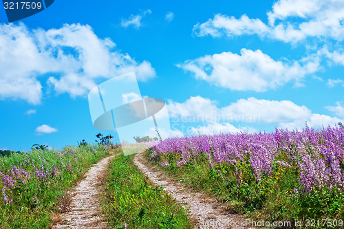 Image of nature in Crimea