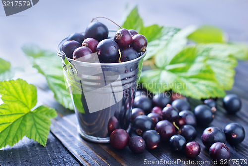 Image of black currant