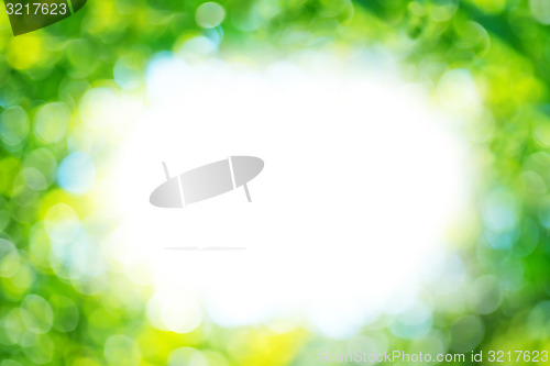 Image of bokeh  background