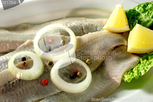 Image of Herrings