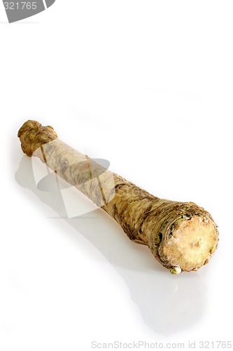 Image of Horseradish Root