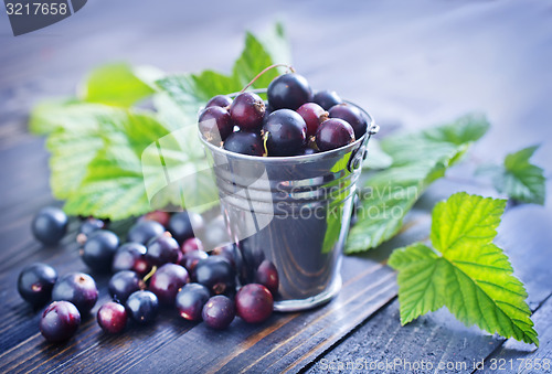 Image of black currant