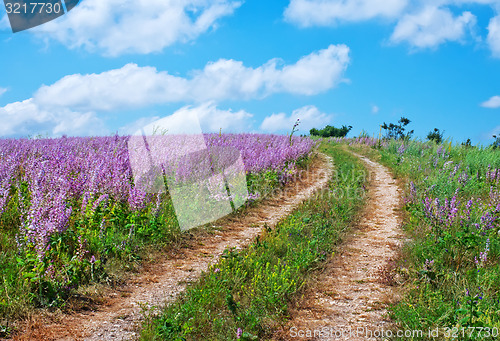 Image of nature in Crimea