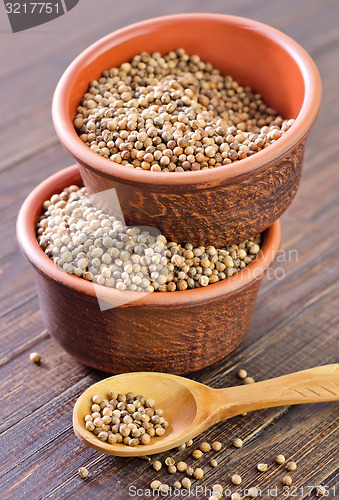 Image of coriander