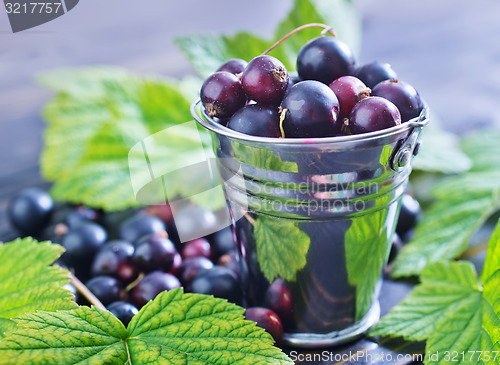 Image of black currant