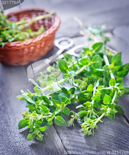 Image of oregano