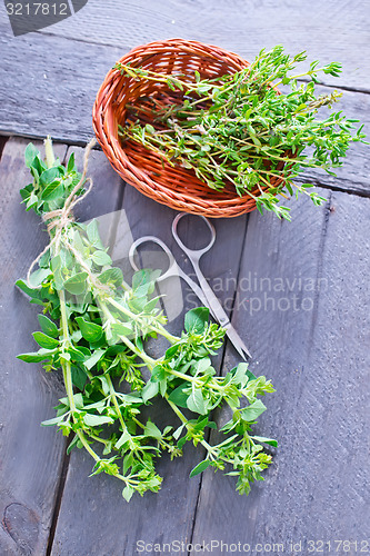 Image of oregano