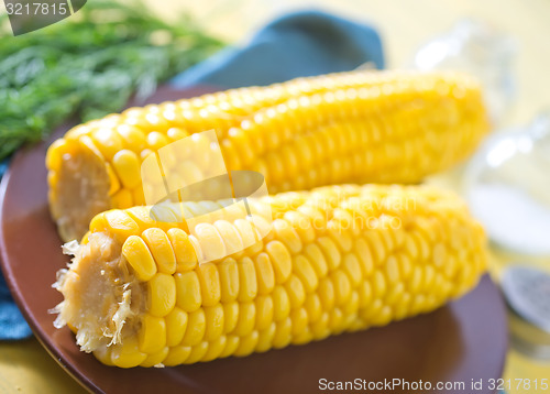 Image of sweet corn