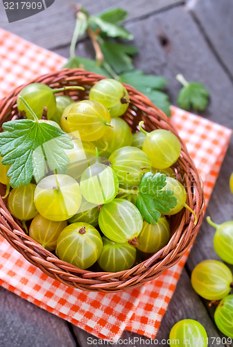 Image of garlic