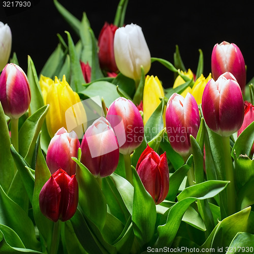 Image of Bouquet of Bright Tulips Blooms