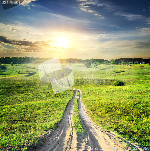 Image of Road through spring field