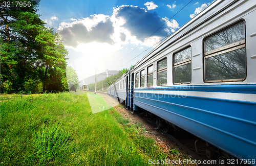 Image of Train and pine forest