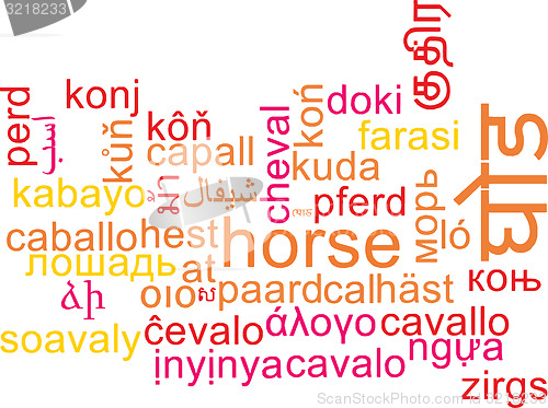 Image of Horse multilanguage wordcloud background concept